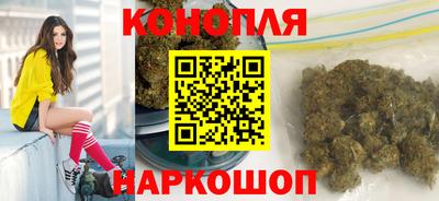 сатива Новокубанск