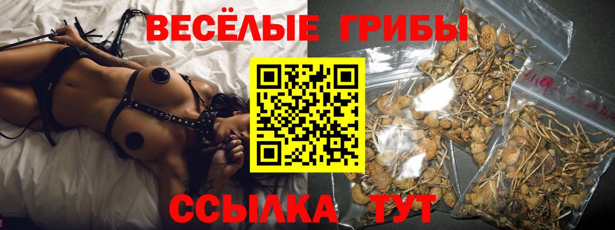 Сокол  Псилоцибиновые грибы мухоморы  Вход с VPN 